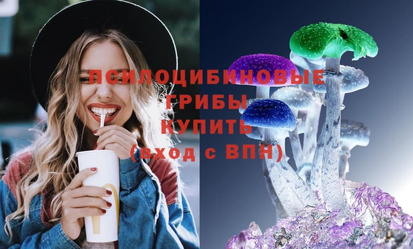 ГАЛЛЮЦИНОГЕННЫЕ ГРИБЫ Белоозёрский