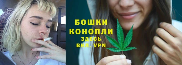 бошки Аркадак