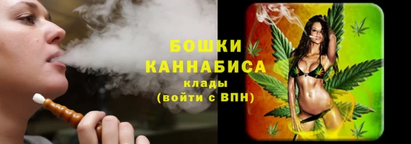 бошки Аркадак