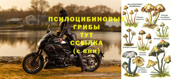 МДПВ Арсеньев