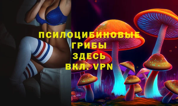 бошки Аркадак